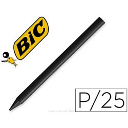 BIC 133